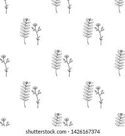 Seamless pattern with black-and-white buttercups and herbs for fabric, textile, clothes, tablecloth, post cards and other things. Endless background for your design. Vector image. 
