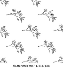 Seamless pattern with black-and-white sakura branches on white background. Vector image. 