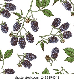 Seamless pattern with blackberries branches