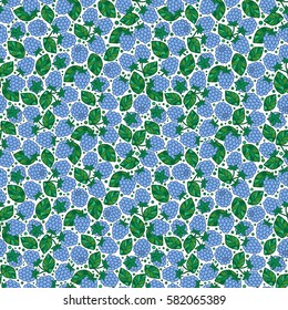 Seamless Pattern of Blackberry , Fruit Pattern, Berry Pattern