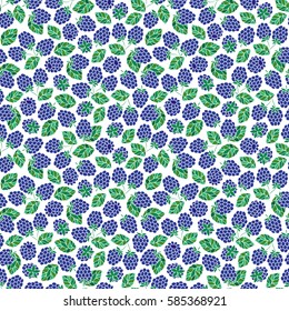 Seamless Pattern of Blackberry , Fruit Pattern, Berry Pattern