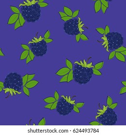 Seamless Pattern of Blackberry , Fruit Berry on Purple Background, Vector Illustration 