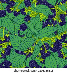 Seamless pattern of blackberry or raspberry. Berry background for textiles, wallpaper, sets of drawings, covers, surface, print, wrapper, scrapbooking.