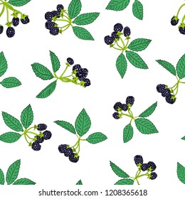 Seamless pattern of blackberry or raspberry. Berry background for textiles, wallpaper, sets of drawings, covers, surface, print, wrapper, scrapbooking.