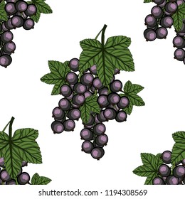 Seamless pattern with Blackcurrant with green stem and leaves. Vector illustration. 