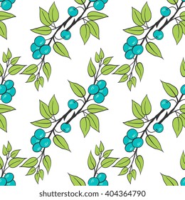 Seamless  pattern with blackthorn.Medicinal berry background. Cover, wallpaper,  textile, wrapper.