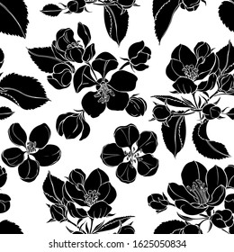 Seamless pattern with blooming apple tree branches. Black silhouettes on white. Floral vector background.