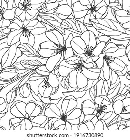 Seamless pattern of Blooming apple tree. Linear vector background