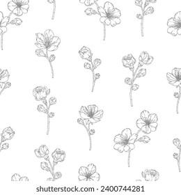 Seamless pattern with blooming apricot flowers, buds, branches. Vector illustration of spring fruit tree blossom. Floral print in modern line art style