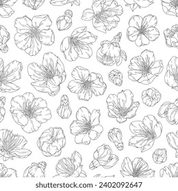 Seamless pattern with blooming apricot flowers and buds. Vector illustration of spring fruit tree blossom. Floral print in modern line art style