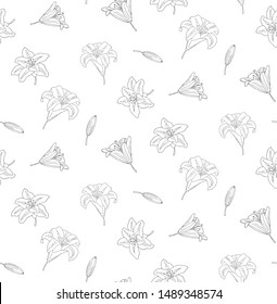 Seamless pattern of blooming black and white contours lilies flowers with leaves and buds. Hand-drawn for your design in a romantic style.