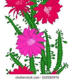 Seamless pattern with blooming cactus on a white background. Border. Hand-drawn vector composition in sketch style.