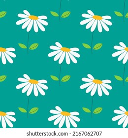 Seamless pattern of blooming chamomile flowers on stems on blue. Daisy wild camomiles. Cute plants, herbs for garden. Blossom, spring summer flower,  leaves. Hand drawn flat vector illustration.
