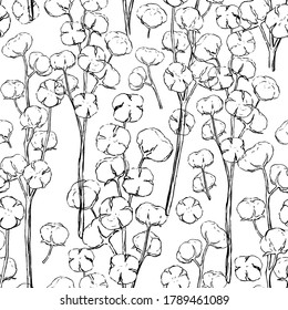 Patrón sin foco de algodón en floración. Ilustración vectorial dibujada a mano. La tinta botánica esboza el fondo en un estilo vintage. Diseño monocromo para papel de pared, impresiones, tarjeta, textura, textil, envoltura, tela.