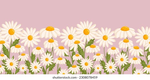 Seamless pattern with blooming daisies. Chamomile vector floral illustration for postcard, poster, fabric, wrapping paper, decor etc. Flowers for spring and summer holidays.