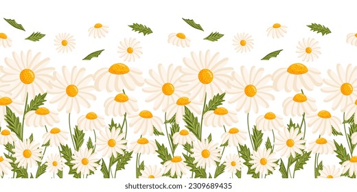 Seamless pattern with blooming daisies. Chamomile vector floral illustration for postcard, poster, fabric, wrapping paper, decor etc. Flowers for spring and summer holidays.