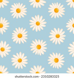 Seamless pattern with blooming daisies. Chamomile vector floral illustration for postcard, poster, fabric, wrapping paper, decor etc. Flowers for spring and summer holidays.