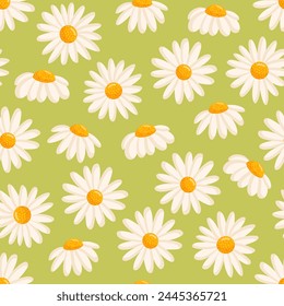 Seamless pattern with blooming daisies. Chamomile vector floral illustration for postcard, poster, fabric, wrapping paper, decor etc. Flowers for spring and summer holidays.