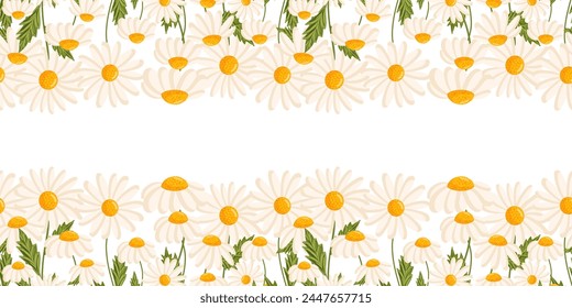 Seamless pattern with blooming daisies. Chamomile vector floral illustration for postcard, poster, fabric, wrapping paper, decor etc. Flowers for spring and summer holidays.