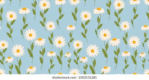 Seamless pattern with blooming daisies. Chamomile vector floral illustration for postcard, poster, fabric, wrapping paper, decor etc. Flowers for spring and summer holidays.