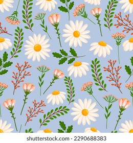 Seamless pattern with blooming daisies and field plants. Vector floral illustration with chamomile for postcard, poster, fabric, wrapping paper, decor, etc. Flowers for spring and summer holidays.