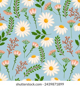 Nahtloses Muster mit blühenden Gänseblümchen und Feldpflanzen. Vektor florale Illustration mit Kamille für Postkarte, Poster, Stoff, Packpapier, Dekor, etc. Blumen für Frühlings- und Sommerferien.