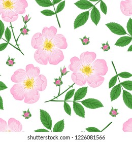 Seamless pattern with blooming dogrose branches, green leaves and buds isolated on white background. Vector illustration of Rosa canina in cartoon flat simple style.