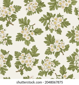 Seamless pattern with blooming hawthorn. Hawthorn flower twigs. Vintage vector illustration. Colorful.
