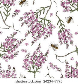 Seamless pattern with blooming heather and bees