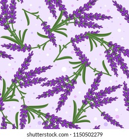 Seamless pattern with blooming lavender.