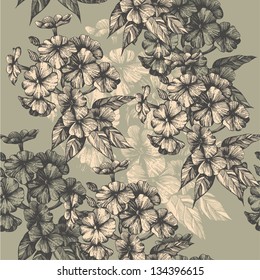 Seamless pattern with blooming phlox, hand-drawing. Vector illustration.