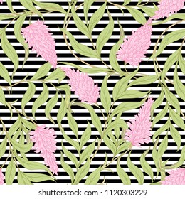 Seamless pattern with blooming pink acacia in art nouveau style.  Vector illustration On black-and-white stripes background