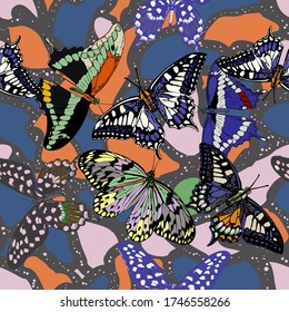 Seamless pattern with blooming roses and flying butterflies, hand drawing. Vector kimono asian, japanese, chinese illustration. Applique abstract butterfly collage print spotted, leopard, dots. Retro