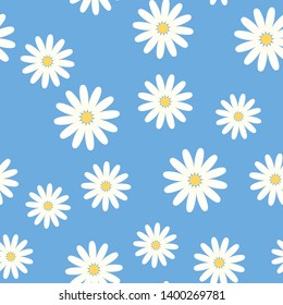 Seamless pattern of the blossom chamomile on the blue background