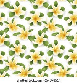 Seamless pattern of Blossom Plumeria flowers. Vector illustration. Tropical flower plumeria seamless background.