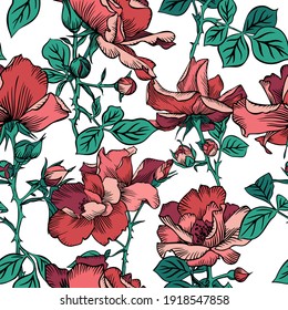 Seamless pattern with blossom red large roses petals buds and leaves. Artistic summer floral background isolated on white. Beautiful botanical ornament. Line drawing, Vintage style.