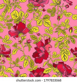 Seamless pattern with blossom red roses and leaves. Decorative summer floral background isolated on pink. Beautiful botanical ornament. Line drawing, Vintage style.