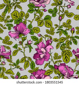 Patrón sin foco con rosas y hojas rojas florecientes. Fondo floral de verano decorativo. Hermoso adorno botánico. Dibujo de líneas, estilo de época.