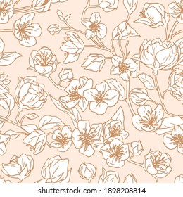 Nahtloses Muster blühender Knospen weißer Jasminblumen. Eleganter floraler Hintergrund für Tapete oder Verpackung. Monochrome Blumenstruktur zum Drucken. handgezeichnete Vektorgrafik
