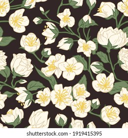 Seamless pattern of blossomed jasmine flowers on dark background. Design of floral repeatable backdrop for printing. Elegant flowery texture. Hand-drawn colored vector illustration