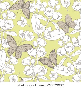 Seamless pattern with blossoming branches of jasmine and butterflies.  Vector illustration.