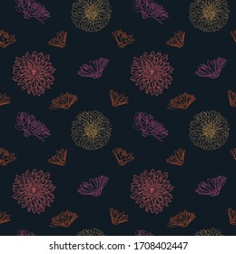 Seamless pattern with blossoming buds of aster and chrysanthemum.Color vector illustration. Contour elements are hand-drawn and isolated on dark background. Floral design of wrapping paper and textile