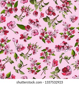 Seamless pattern  of blossoming pink  branch of apple tree and flowers. Hand drawn colored sketch  of  malus flowers. Vector illustration.