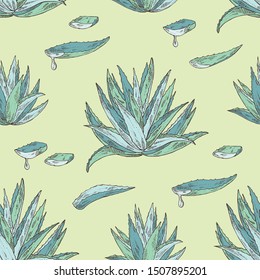 Seamless pattern with blue agave: blue agave plant and leaves. Cosmetics and medical plant. Vector hand drawn 