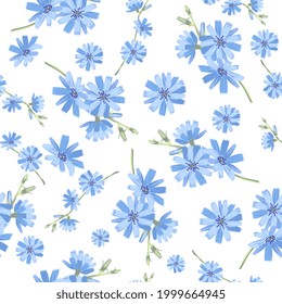 Seamless pattern of blue chicory flower. Floral background. Blossoming branch. Vector illustration.