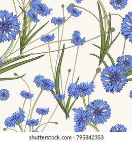 Seamless pattern with blue cornflowers