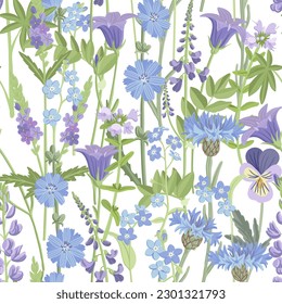 seamless pattern with blue field flowers, vector drawing wild flowering plants at white background, floral ornament, hand drawn botanical illustration