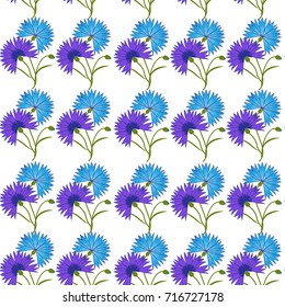 Seamless pattern with blue flower cornflower isolated on white background. Cartoon vector centaurea cyanus illustration