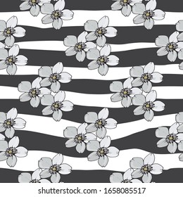 Seamless pattern of blue flowers anemones on a white background with black stripes. Vector hand drawn illustration.