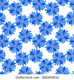 Seamless pattern, blue geometric stylized cornflower flowers, in a simple pattern on a white background. Bright ornament.